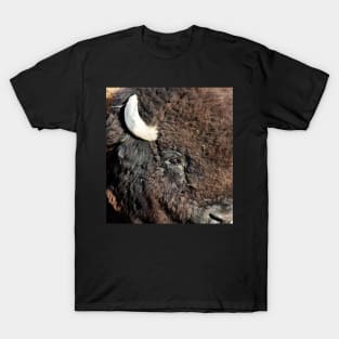 American Bison - Up Close and Personal T-Shirt